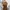 Vintage Midi dress Wanita brown photo 6