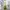 Cottagecore Coquette Evening Dress Wanita Gold Yellow