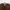 Covernat Streetwear Casual Sweatshirt Pria brown photo 2