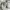 Skecher X Doja cat (new) with tag Original store photo 2