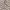 Zara Casual Shor Sleeve Knit Open Collar Beige x Red photo 4