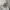 Sportswear Casual Jersey Pria white photo 2