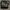 Cnk Charles & Keith