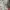 Converse Avant Garde Sweater Pria gray photo 4