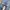 WRANGLER CARPENTER BLUE JEANS photo 4
