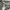 Sportswear Casual Sweatshirt Pria gray photo 3
