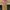Rok Layer photo 3