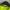 Skater Sportswear Sweatshirt Pria green photo 3