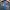 Aegis Bocktech Jacket Waterproof Mens 5L / XL Tinggi photo 8