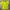 Puma Sportswear Jersey Pria yellow photo 1