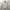 Casual Bomber jacket Wanita white photo 1