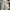 PANTS CELANA PENDEK WANITA photo 2