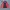 Yonex Sportswear Track jacket Pria red photo 4