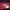 Yonex Sportswear Track jacket Pria red photo 7