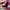 Nike Air Max Plus SE Night Maroon Metallic Silver photo 7
