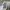 Casual Sweatshirt Pria white photo 5