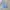 Topten Casual Sweatshirt Pria multicolor photo 1