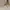 Fitflop Luxury Futurist Sneakers Wanita gold pink photo 1