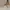 Fitflop Luxury Futurist Sneakers Wanita Gold Pink