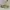 Fitflop Luxury Futurist Sneakers Wanita gold pink photo 2