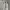 Viva city balloon long pants cream photo 4