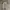 Viva City Balloon Long Pants Cream