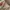 Viva city balloon long pants cream photo 9