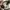 Vintage Edwin 505 Khaki Bush Pants photo 6