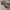 Miller ballon parachute long pants olive photo 6