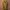 Tunik Wanita