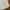 JAPANESE BRAND BEAMS BOY STREETWEAR WHITE BUTTON DOWN SHORT  photo 6