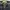 Rare Yanuk Los Angeles Flared Denim true religion  photo 4