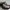 Size 43 - Timberland - Sepatu Pria Casual Kulit Keren