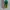 Puma Streetwear Casual Sneakers Pria green photo 5