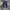 Vintage Streetwear Jeans Pria Navy