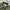 OG 507 Military Utility Shirt not Avirex, Buzz rickson, FPAR photo 3