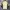 Adidas Vintage Casual Windbreaker Pria gold brown photo 2