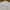 BROOKS & BROTHERS BASIC WHITE SHORT SLEEVE BUTTON DOWN OXFOR