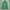 thisisneverthat Streetwear Casual Hoody Pria green photo 1