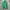 Thisisneverthat Streetwear Casual Hoody Pria Green