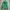 thisisneverthat Streetwear Casual Hoody Pria green photo 3