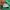 thisisneverthat Streetwear Casual Hoody Pria green photo 4
