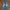 LEVIS 550 JEANS