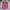 A Bathing Ape Streetwear Short Pria Pink