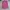 A Bathing Ape Streetwear Short Pria pink photo 3