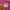 A Bathing Ape Streetwear Short Pria pink photo 5