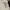 Descente Streetwear Bomber jacket Pria white red photo 3