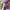 Louis Vuitton Streetwear Luxury Bomber jacket Pria purple yellow photo 3