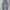 Dolce and gabbana baggy jeans y2k photo 5