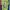 Vintage Streetwear T-shirt Pria green photo 1
